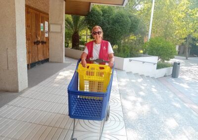 Recogida de alimentos. Agosto 2025