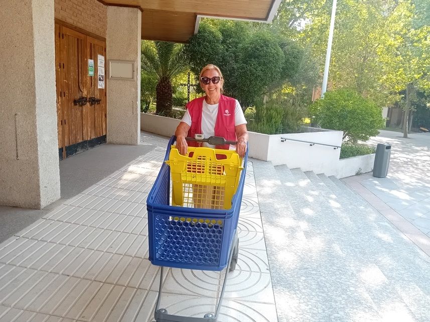 Recogida de alimentos. Agosto 2025