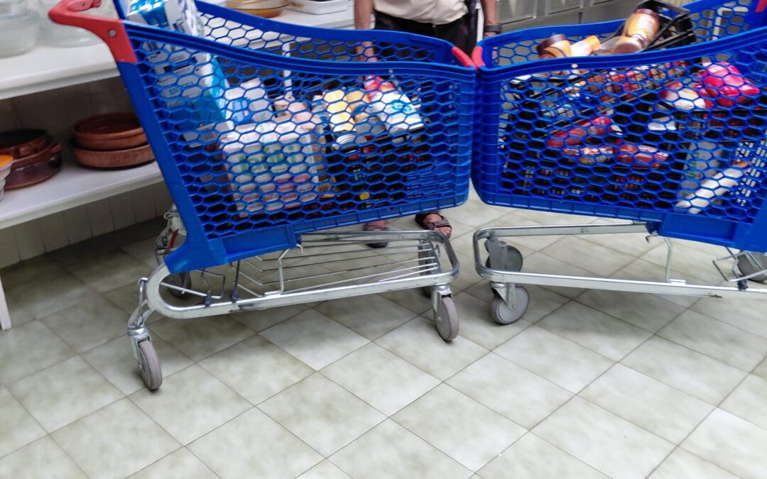 Recogida y distribución de alimentos y más